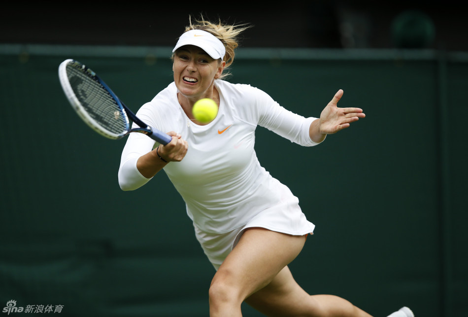 NG28-莎拉波娃迎来十赛季高光表现，公牛球迷沸腾！的简单介绍